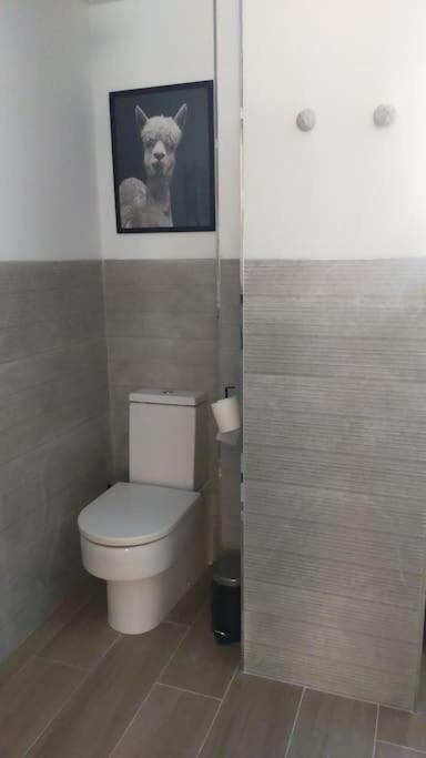 Apartamento Laurana サンタンデール エクステリア 写真